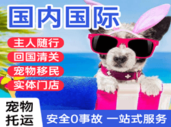 兴义万峰林空运地址国际宠物托运 【国